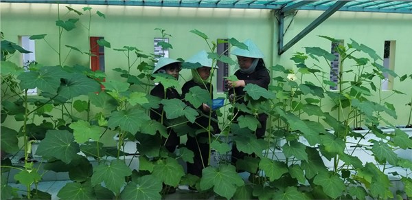 HOẠT ĐỘNG HỌC CỦA BÉ